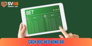 Cách Đọc Kèo Bóng Đá