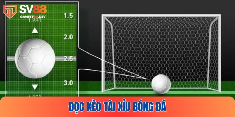 Cách đọc kèo bóng đá Tài Xỉu chi tiết cho người chơi mới