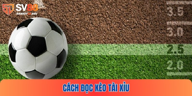 Tìm hiểu cách đọc kèo Tài Xỉu để sẵn sàng tham gia cá cược