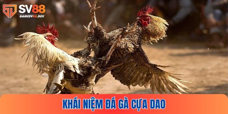 Đá gà cựa dao là gì?