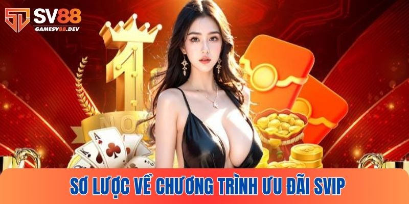 Sơ lược về chương trình ưu đãi SVIP tại SV88